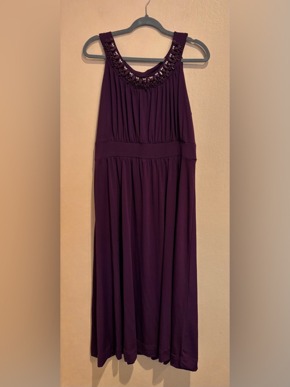 Haani Plum Maxi Evening Dress with Metal and Beaded Embellished Neckline